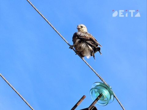 Погода в Приморье на первые майские праздники будет меняться каждый день