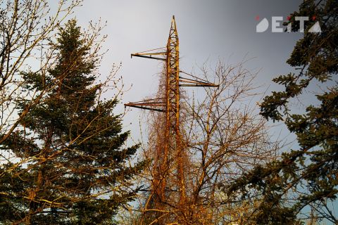 Льготы на электричество готовит правительство
