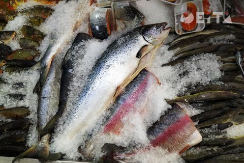 Россиян оштрафовали на 16 миллионов рублей за незаконный вылов рыбы