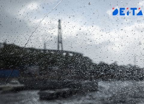 Новая рабочая неделя начнётся с дождей в Приморье