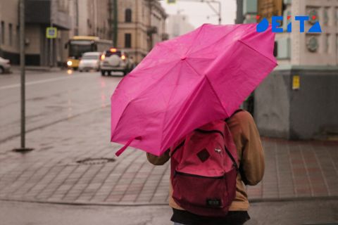 Погода в Приморье испортится с середины недели
