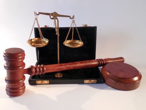 Жителя Владивостока будут судить за незаконный оборот трепанга на миллионы рублей
