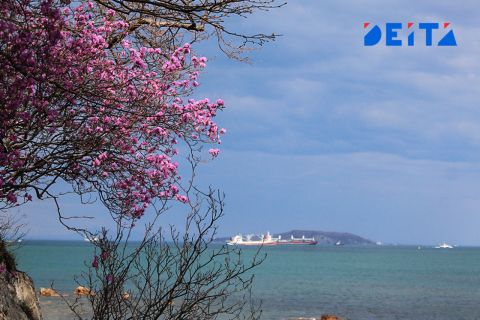 Тепло порадует приморцев на новой неделе