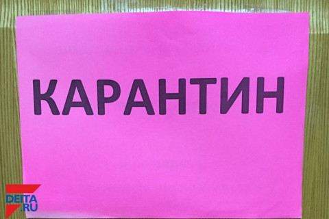 В одном из районов Приморья введен карантин