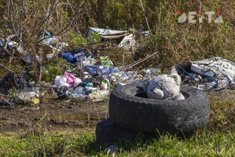Мэрия в Приморье пыталась отстраниться от незаконной свалки, но проиграла в суде