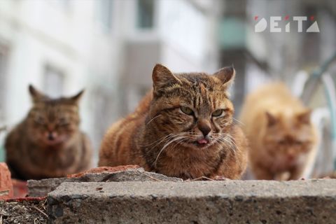 Тепло, сыро и ветрено будет сегодня в Приморье