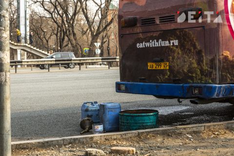 Самые частые нарушения среди водителей автобусов назвали в Госавтоинспекции Приморья