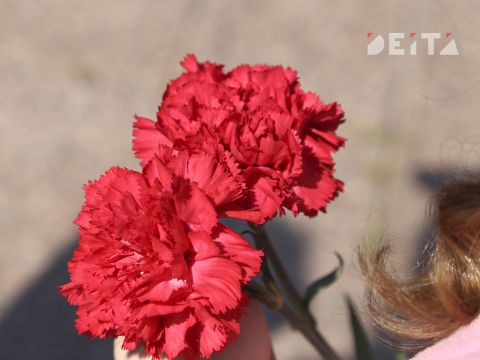 Противоправные фото делали школьники на фоне мемориала ВОВ во Владивостоке