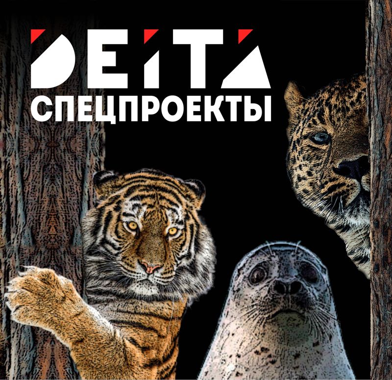 Мастер-план Владивостока - Спецпроект DEITA.RU